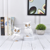 Attractive Owl Polyresin Showpiece Set Of 2 - White