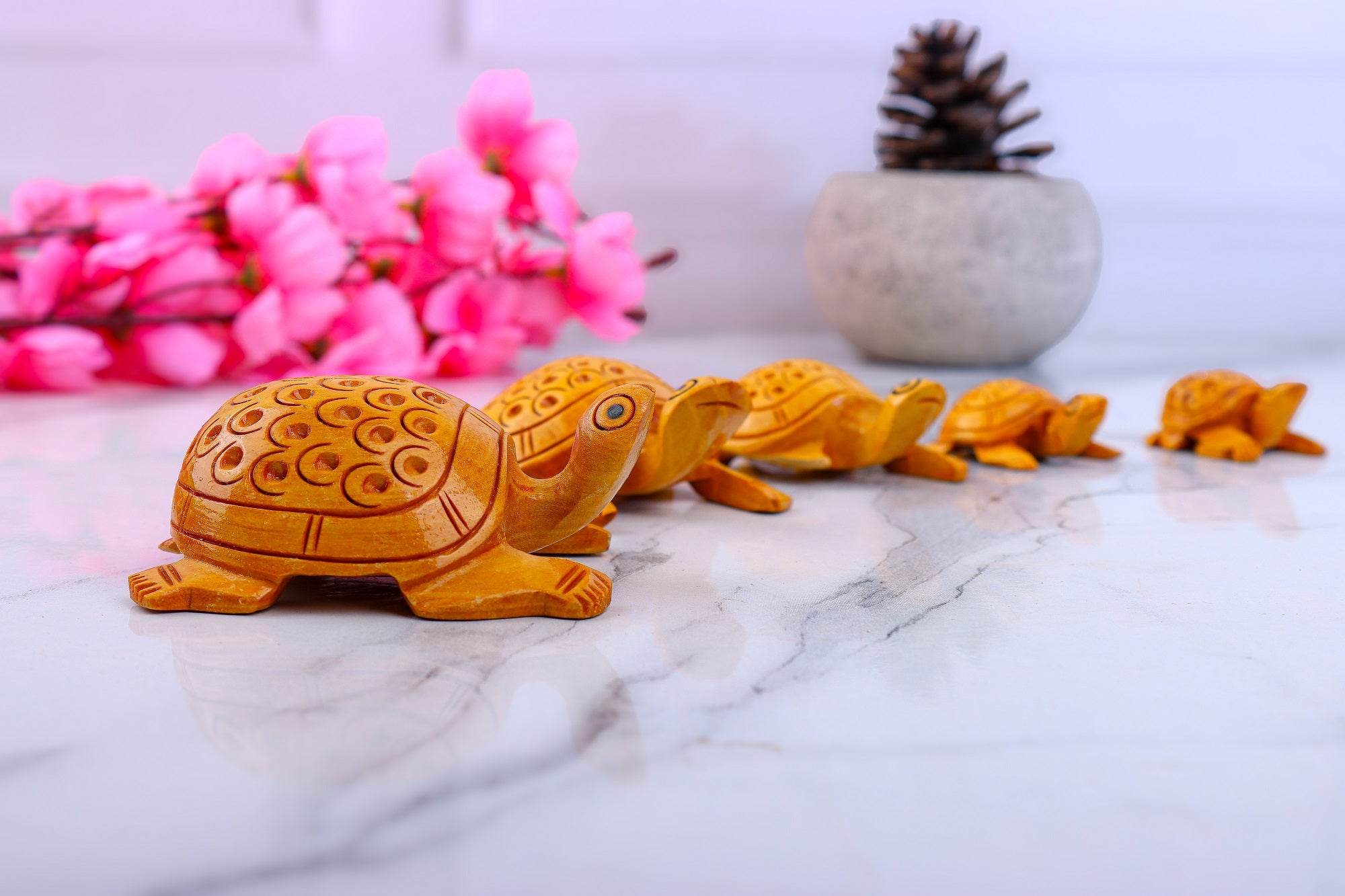 Wooden Tortoise Set Carving Antique Showpiece Set Of 5 Pcs