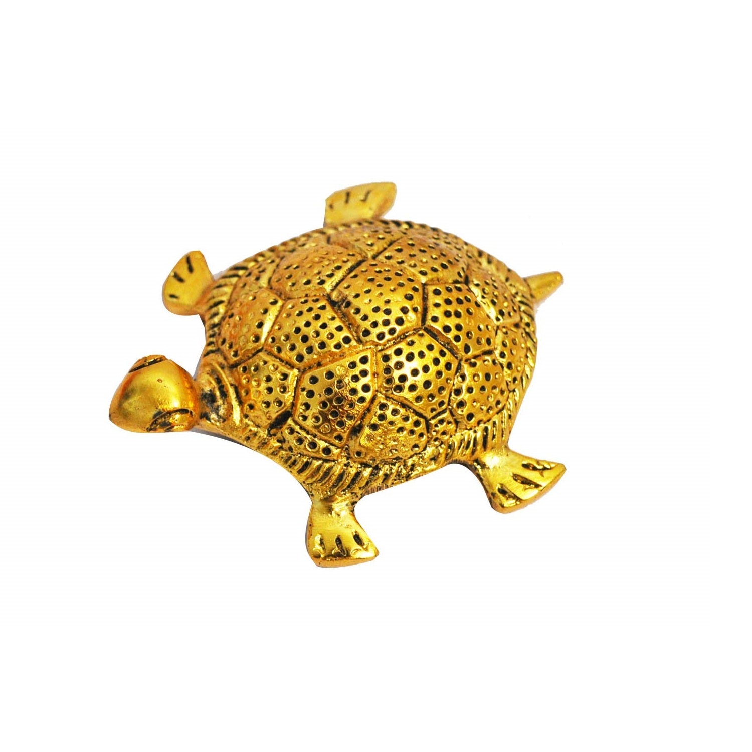 Metal Tortoise With Glass Plate