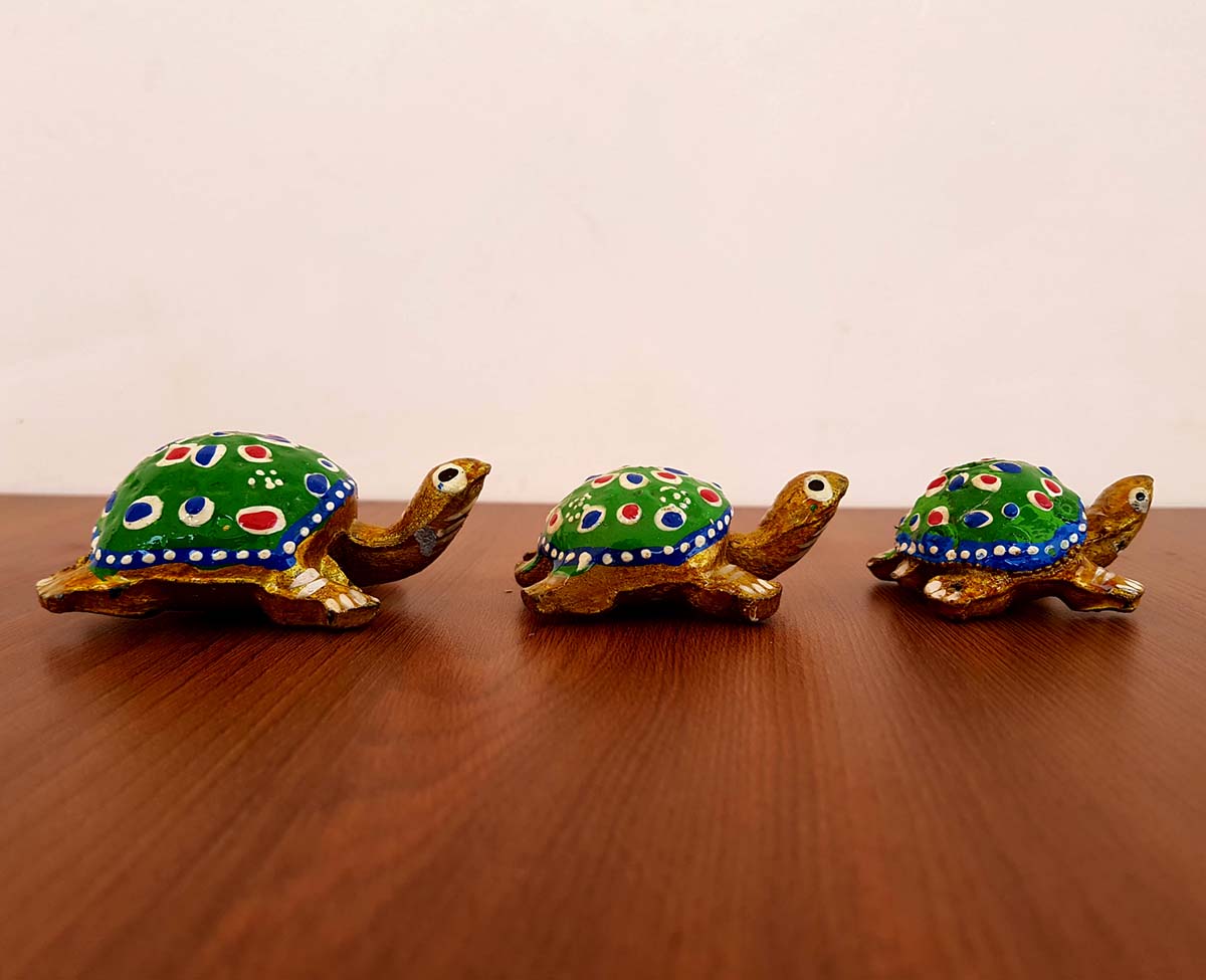 Tortoise Fiber Top gift Of 3 Pcs