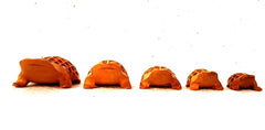 Wooden Frog Jali Antique Showpiece Set Of 5 Pcs